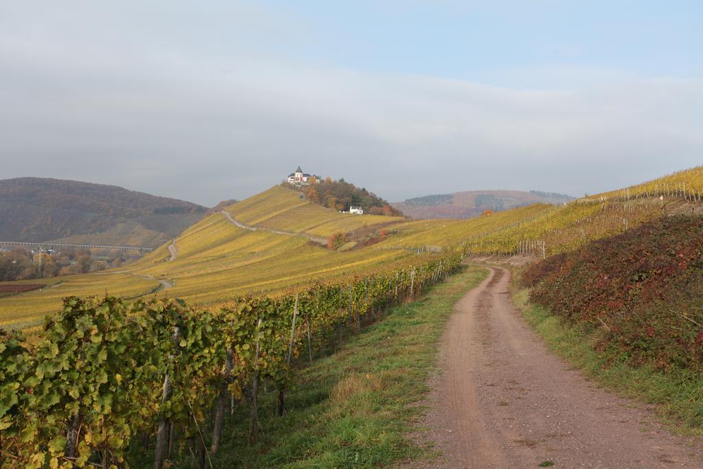 Weingut Pension Gibbert-Pohl Briedel Bagian luar foto