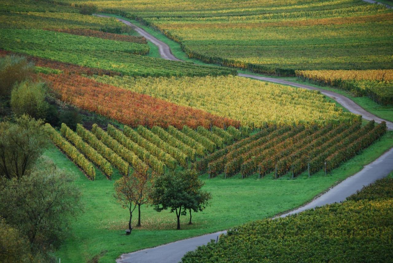 Weingut Pension Gibbert-Pohl Briedel Bagian luar foto